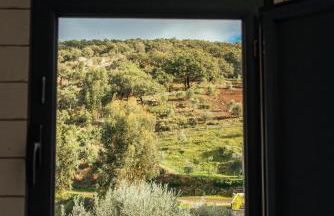 Azeite de Marvão, Olivoturismo casa Venda do Lagar - Foto 11