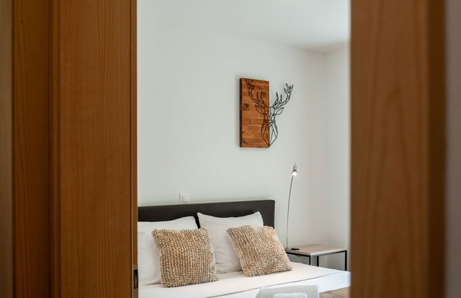 Les penguins - Foto 13