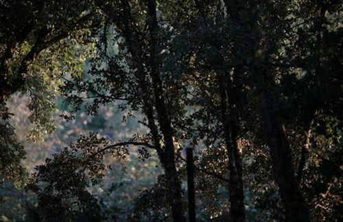 Finca El Zurrador - Foto 38