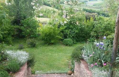 Olivo at Pietraie a cottage with many flowers in the Valley - Foto 24