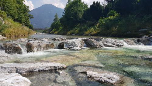 Ferienwohnungen Gottschlicht - Foto 3