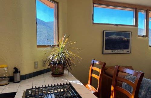 Galeria Viviente Eco Casita - Foto 16