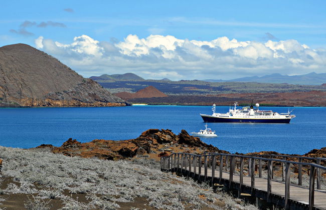 Bartolome Full-Day Tour from Santa Cruz - Photo 5