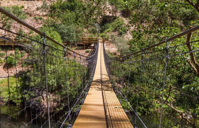 Feel Discovery Passadiços Paiva - Foto 16