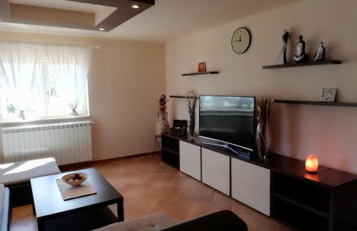 Apartman Nikola - Photo 16