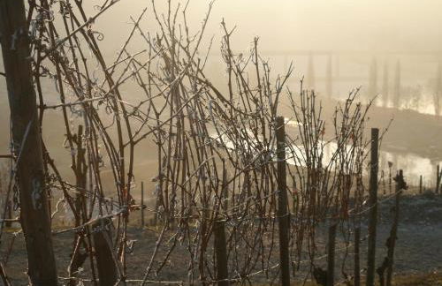 Gästehaus Sehl - Foto 28