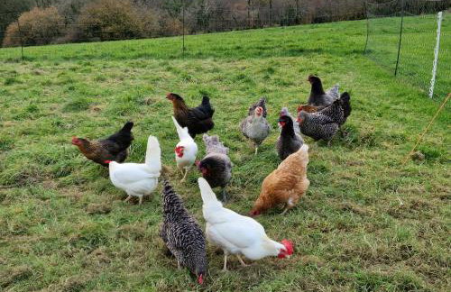 The Den - Modern cabin with wood burning stove - Foto 25