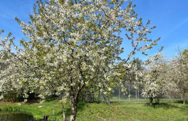 Gästehaus Gerschler - Foto 23