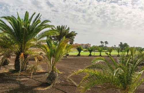 Casa Africa - Photo 5