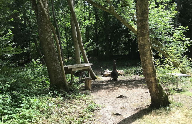 Private and Secluded Cabin in Rowfant - Foto 25