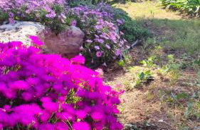 Seagull Apartments Bari Sea & Airport - Foto 56