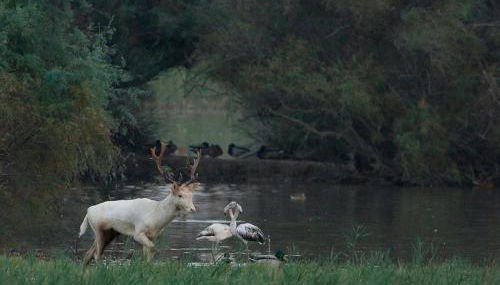 Casa en Costa Brava: Barbacoa, Wifi, Gran Jardín, Cerca Playa, Parking - ES-89-116 - Foto 4
