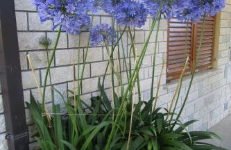 Apartment Pino - Foto 54