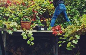 Czereśniowy Dom - Foto 33