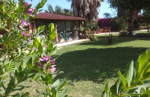 Lo Racó de Peret - Foto 65