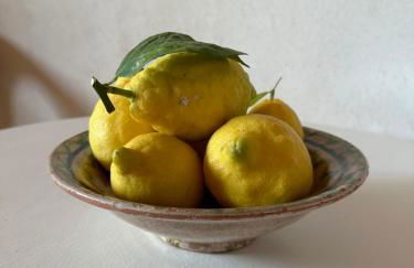 Strohballenhaus Valle delle Rose - Photo 8