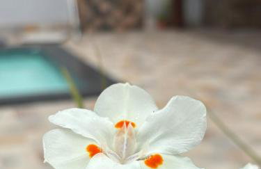 Lar Angrense - casa com piscina - Foto 20