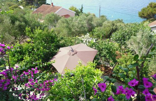 Apartment Pilatus Ošljak - Photo 11