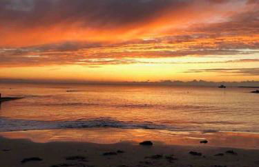 2 Dorset Mews - Photo 20