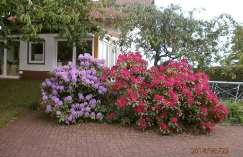 Ferienwohnung am Felsenwanderweg - Foto 23