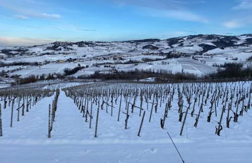 Agriturismo Poggiacolle - Photo 12