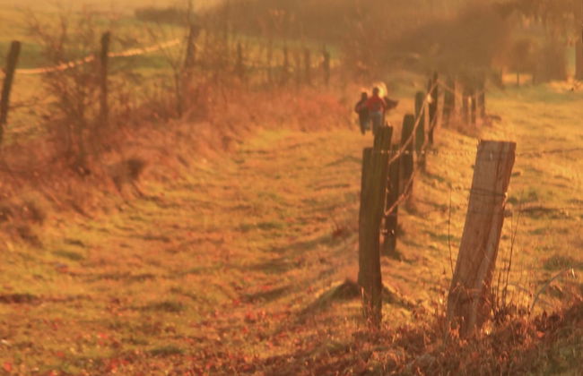 Ardennes Stay for 18 Guests - Foto 40