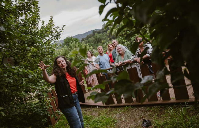 Excursión a Albaola + Visita a una sidrería vasca - Foto 4