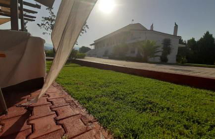 Ktima Xiliadou - Foto 16