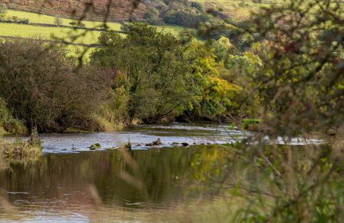 Felin Gogoyan - Photo 26