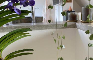 Wellness Suiten mit Whirlpool am Stadtrand von Essen - Foto 20