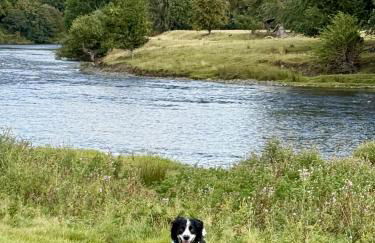 Robins' Rest - 22 Caer Beris Luxury Lodge Park NEW Sleeps 6 Riverside Reteat - Foto 14