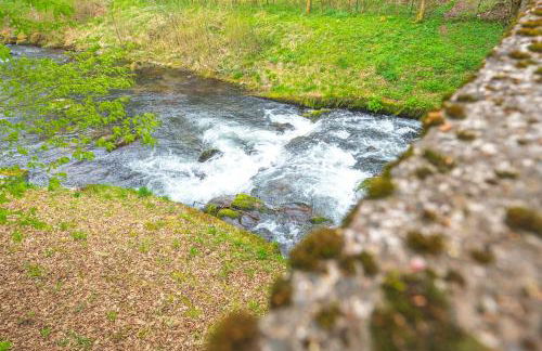 Black Forest Flower Apartment - Foto 19