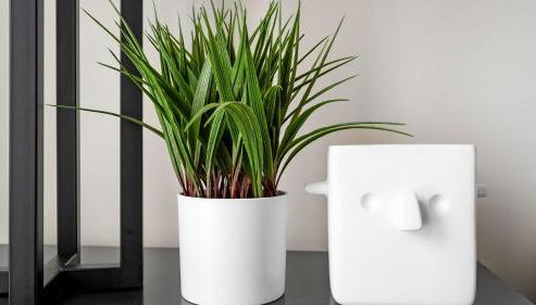 North Concord Apartments by Landing - Foto 4, Other