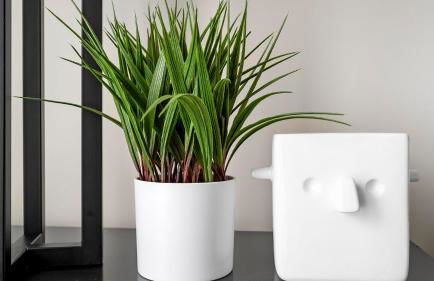 Emery Villages Apartments By Barsala - Foto 64