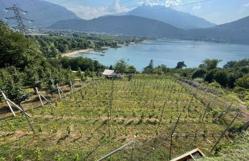 L'Angolo Verde - Photo 17