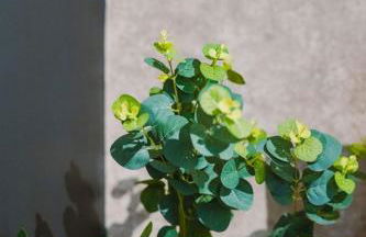 SleepLuxury ApartHOUSE - Foto 52