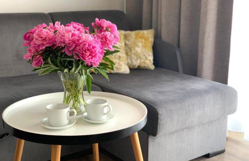 Apartament Livia - Foto 6