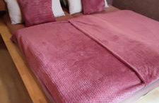 FeWo Bergenrot Urlaub mit Hund - Foto 16