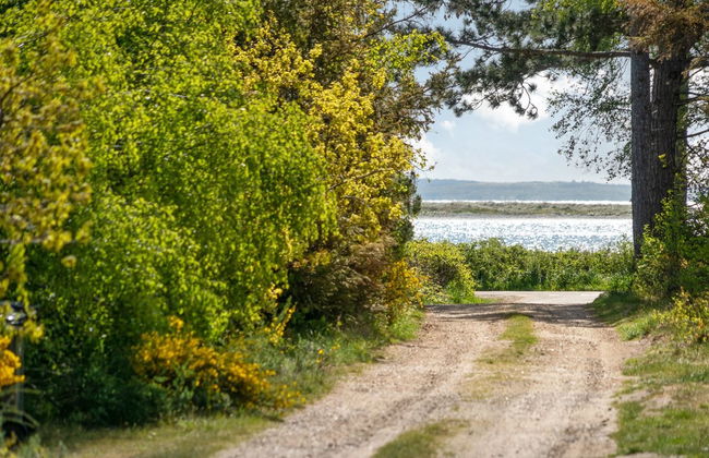 "Rikkie" - 150m to the fjord - Foto 32