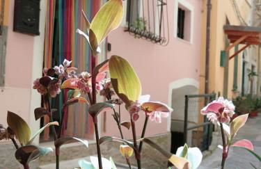 Casa Martina - Photo 3