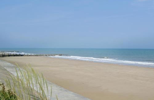 Little Tern - Foto 10