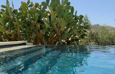 Azienda Agricola Mandranova - Foto 76