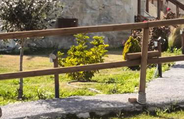 Alagni Cretan Resort - Foto 49