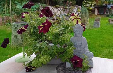 Ferienhaus mit Garten im Odenwald zu vermieten - Foto 8