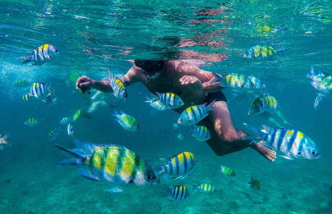 Tour delle isole Phi Phi in motoscafo - Foto 7