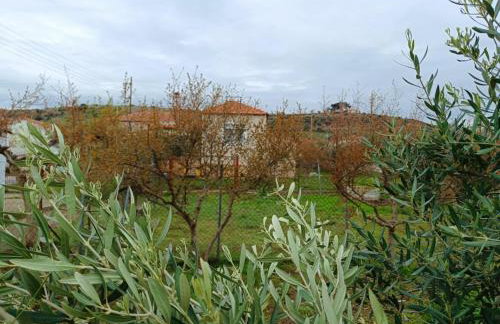 Grandmas Cottage - Photo 65