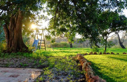 Quinta dos Cochichos – Country Houses - Foto 158