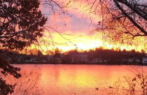 The Fairview - Foto 24