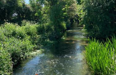 Low Costa Mill - Foto 69