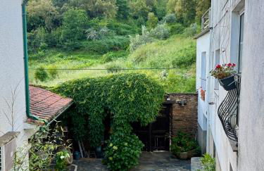 Escapada na Natureza - Charmoso Refúgio nas Alturas - Foto 33